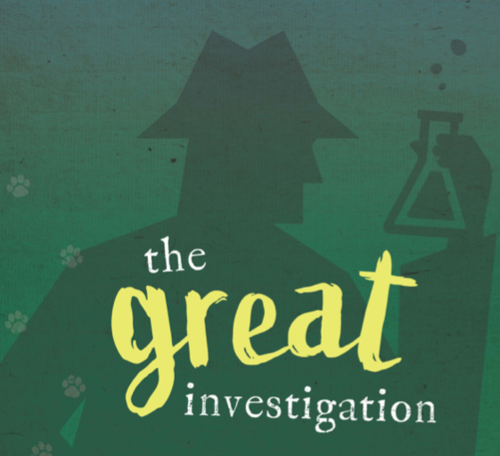 VBS 2022 The Great Investigation